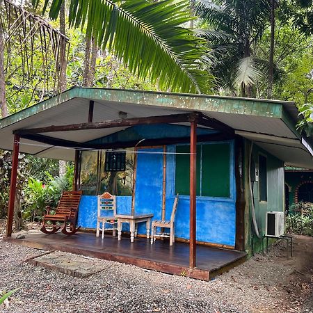 Chosa Manglar Suites & Cabins Puerto Jiménez Екстериор снимка