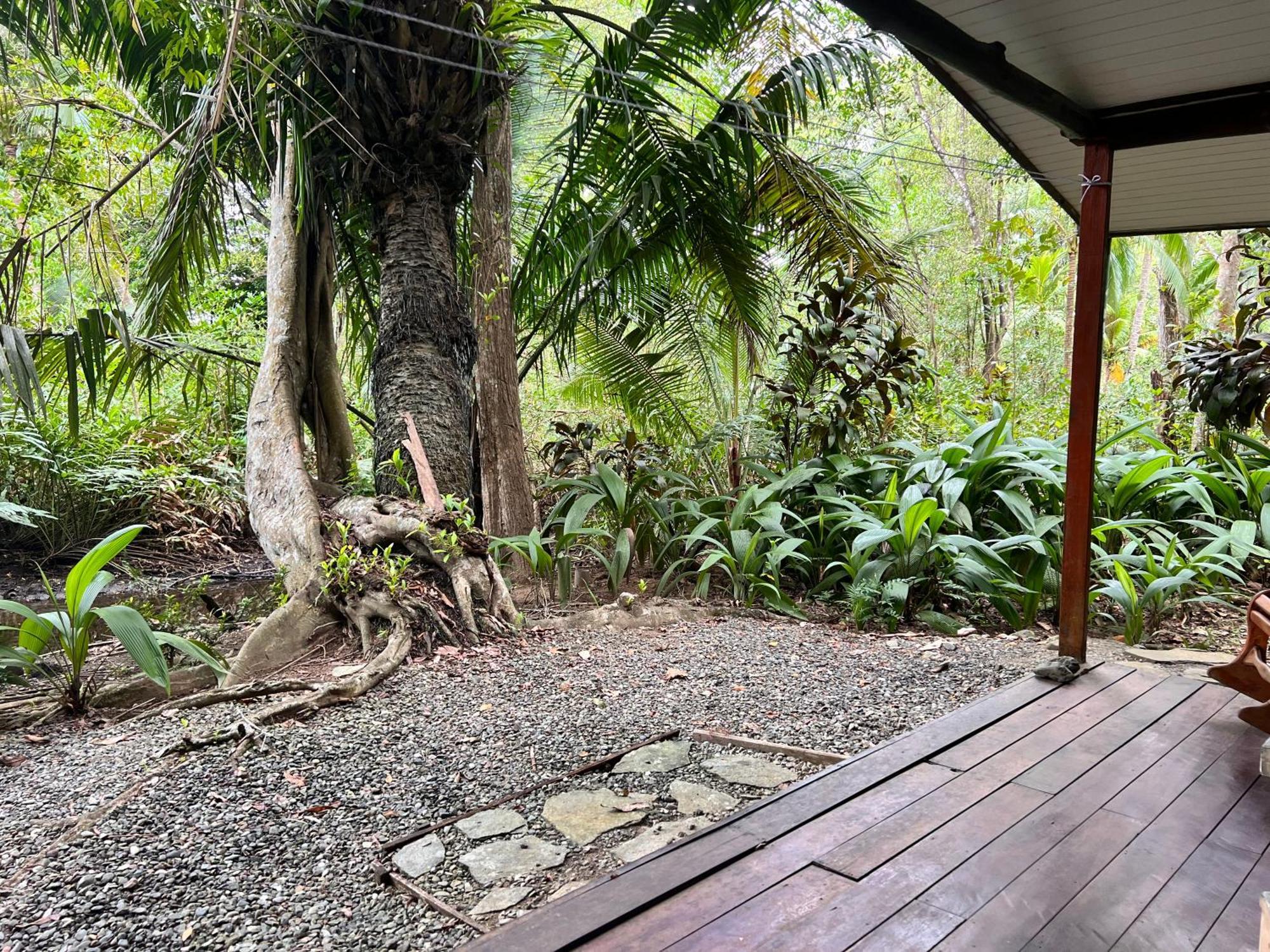 Chosa Manglar Suites & Cabins Puerto Jiménez Екстериор снимка
